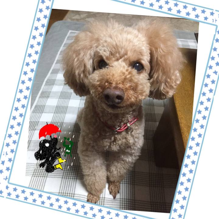 6c473f45 4be2 4592 bc88 1dc9191a0082 1528670588800