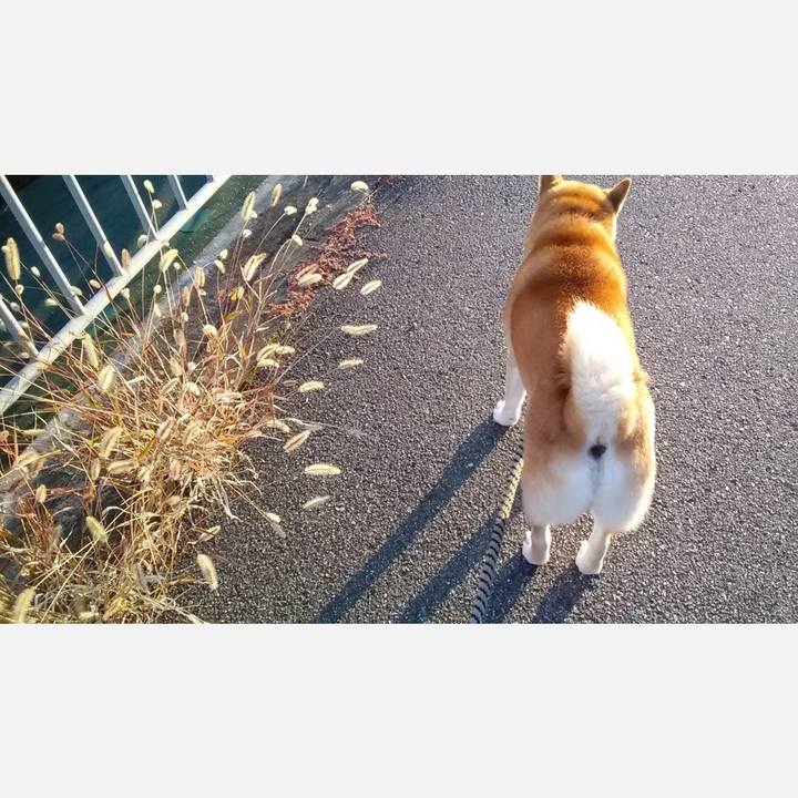 6c47480d b1fa 41b9 9ba8 fef85d3cc22b 1604307594654