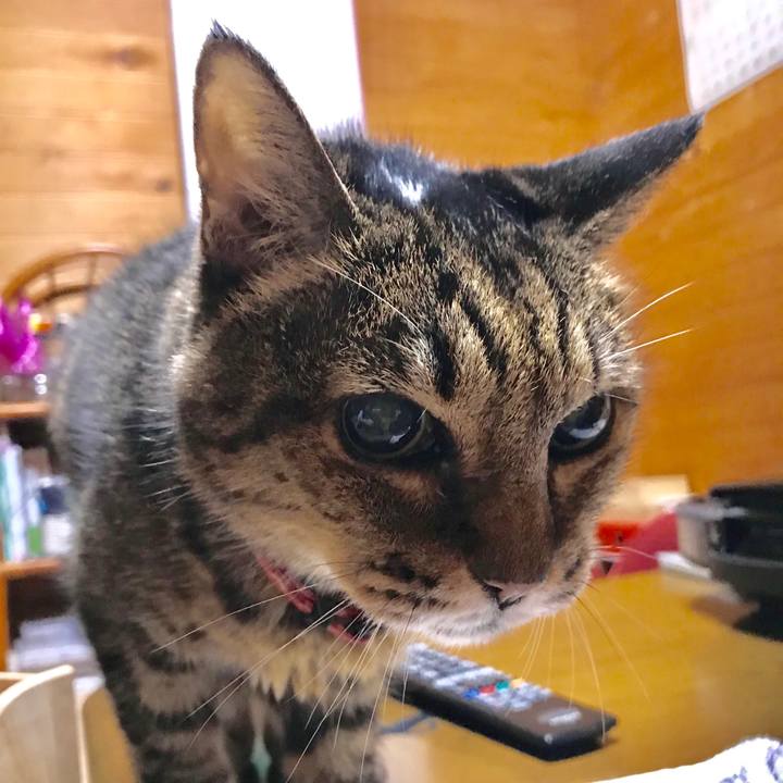 6c47610d 4b30 47a4 80ce f10ba1e7e772 1543066995190