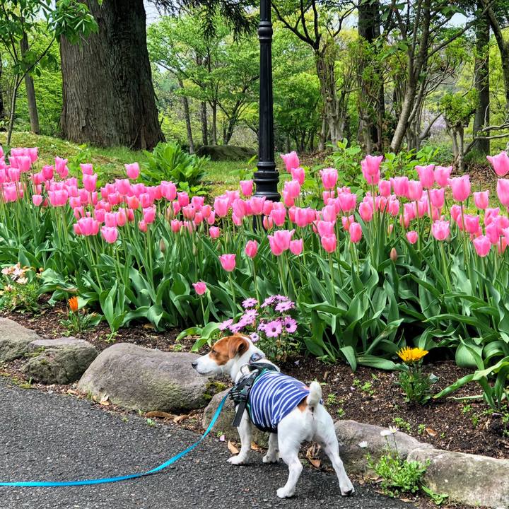 6c4776b8 7557 49df a8bd e88731299e40 1588931078206