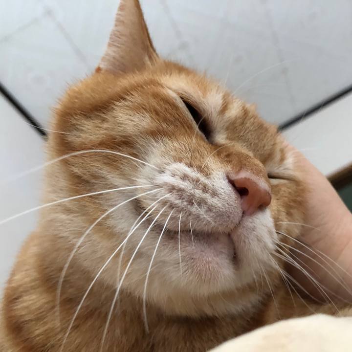 6c477b17 91d2 4f26 9c62 03ad9e05900d 1720834342899