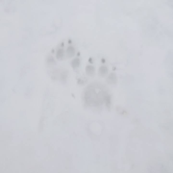 6c479dd7 cb89 4e7f b5cb 200b7ffc3b23 1771148578453