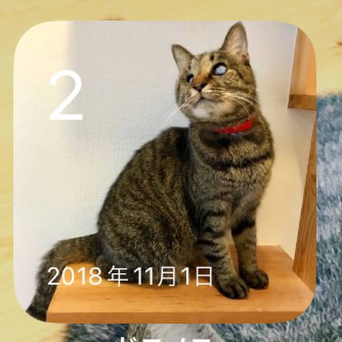 6c47badf 51fc 4507 8b20 a413a32923a1 1698903868318