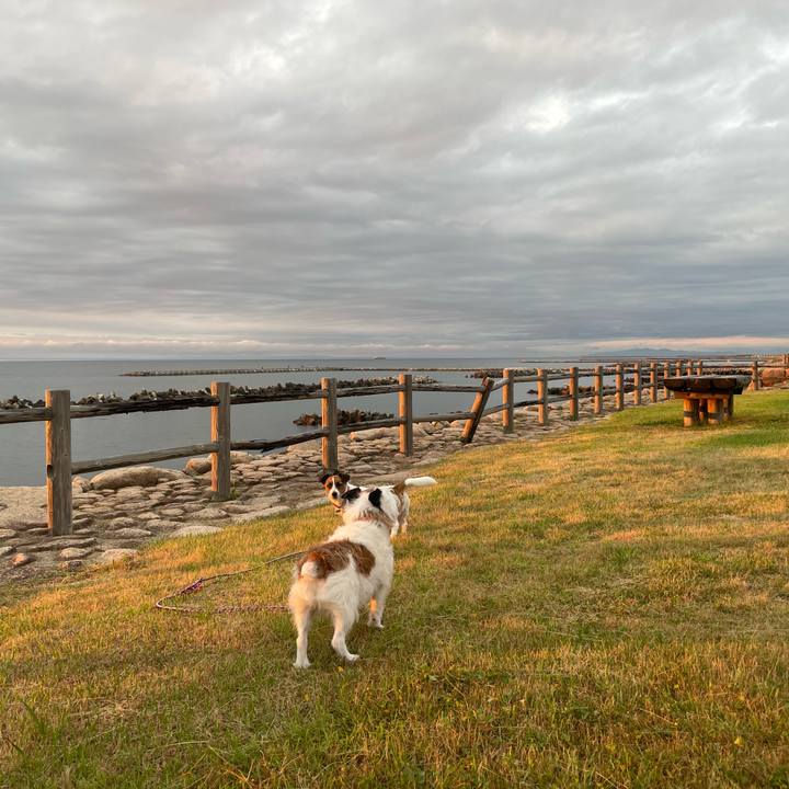 6c47dd2a 366f 4b05 a4e0 79405564fd9e 1750674207101