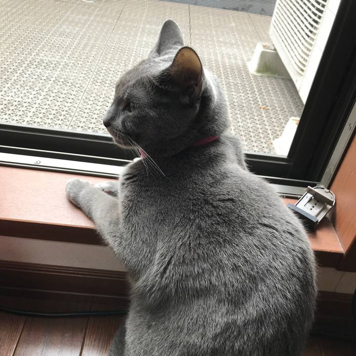 6c47ec44 5823 4669 8471 9886e3cdf2ed 1539731441171