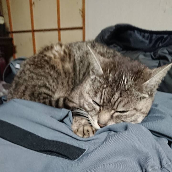 6c47ff62 6ad1 4fa7 a513 0f46095ea25d 1552386597678