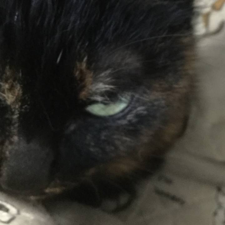 6c480076 d845 45a8 9c06 9beb30872d60 1608508047401