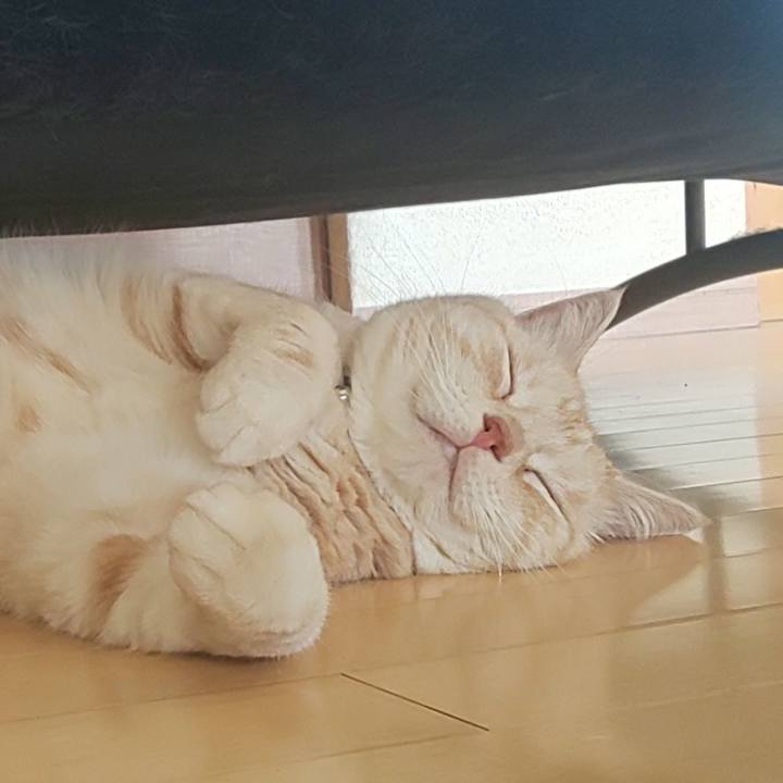 6c4800f0 db4f 417c b847 af83a99d174c 1598333896212