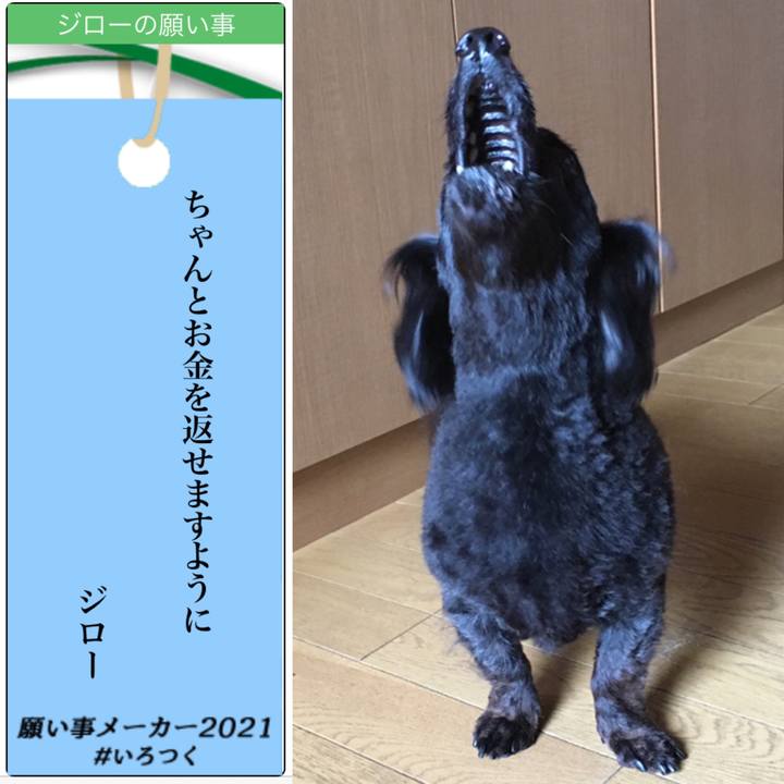 6c480682 e38b 44e2 b4b4 17cd81038611 1625656970103