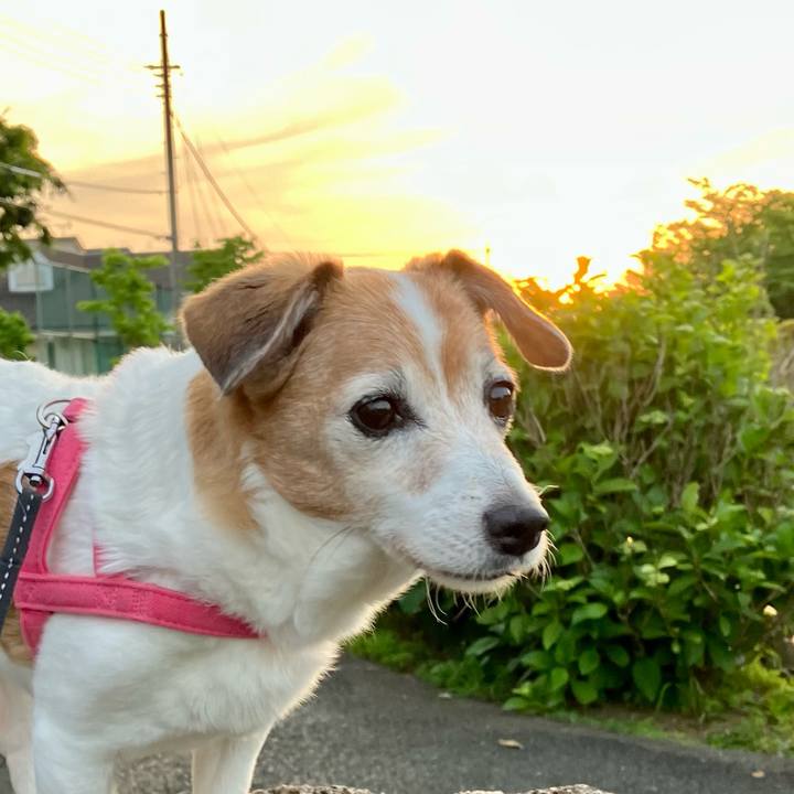 6c482e14 c611 4438 92e1 bc4816b85989 1716031806504