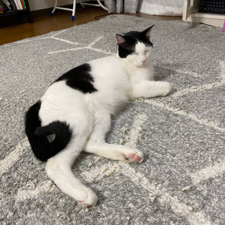 6c483112 896a 4262 8f3f c164484a0b6e 1616245685713