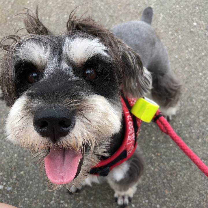 6c484129 3088 485d 89e3 0e41f8721fb1 1532724957222