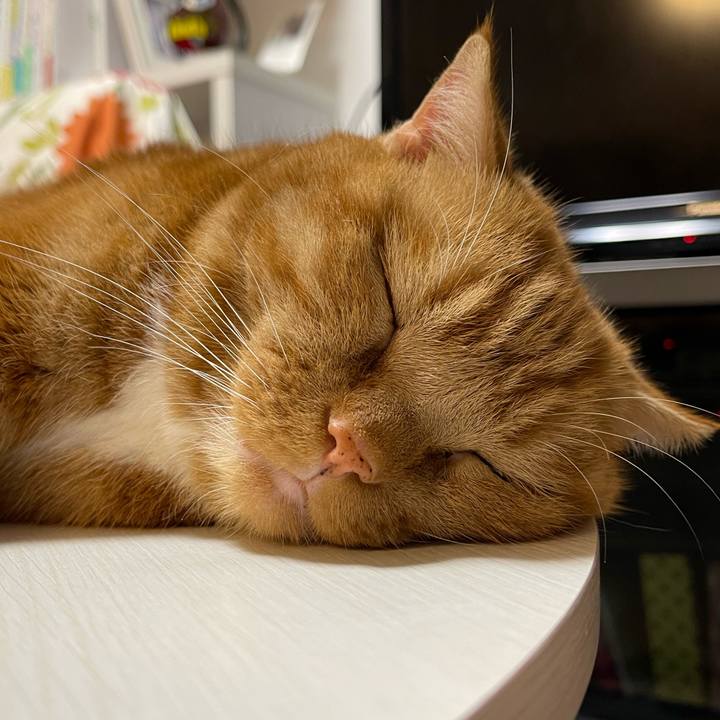 6c485382 ff1d 405b 87cd 2f58bb714c23 1662634845259