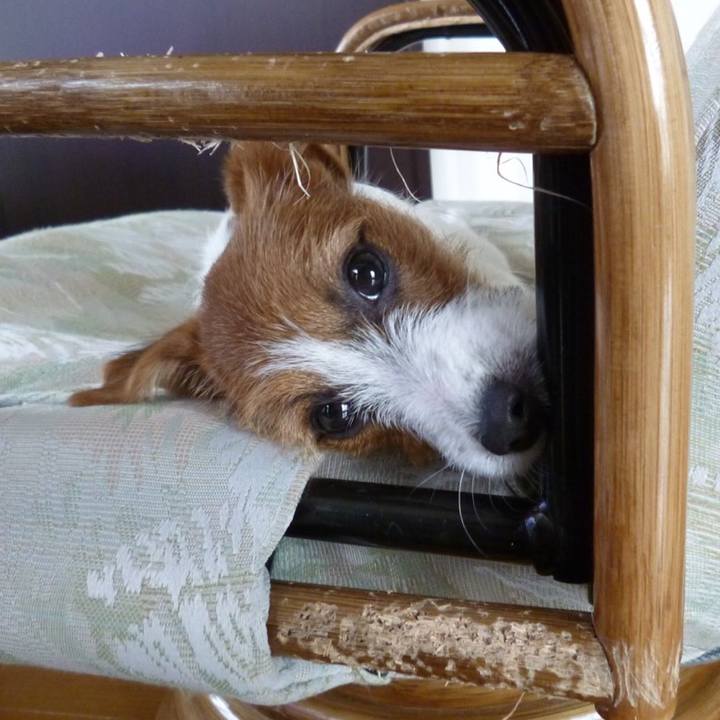 6c4898ee f4d4 4119 969d 967a2d9cad98 1540305095909