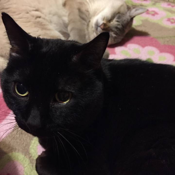 6c48cf16 27d1 44b1 93d0 3d9745e3e55b 1518518378788