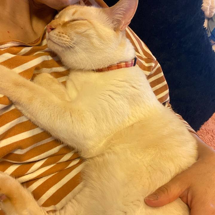 6c48ef40 40f5 412c 98d0 2c15b1fbdbf4 1771747285178