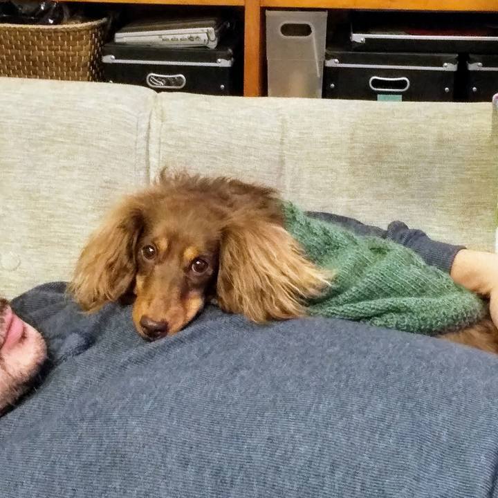 6c48f2ee bf3d 4365 b4eb bbda27ad63b6 1576938980069