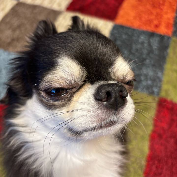 6c48fb53 3d5c 4e52 986f 4072458d4b4d 1754842653494