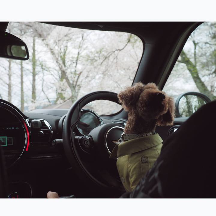 6c490318 ec1f 42d6 82aa ce0321104dcf 1555368262985