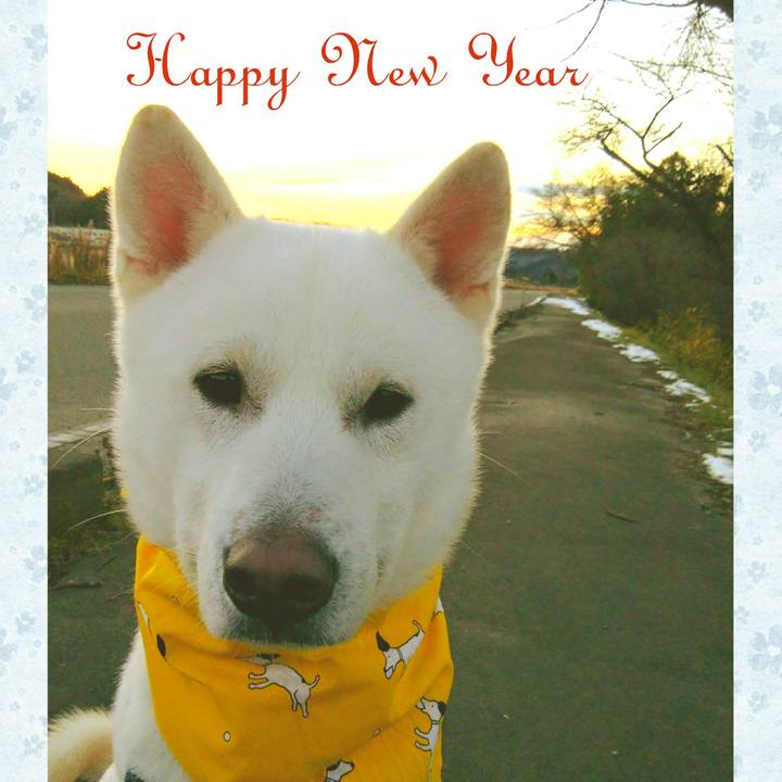 6c495668 906f 4b32 aae5 c1a8b5239f44 1546296635370