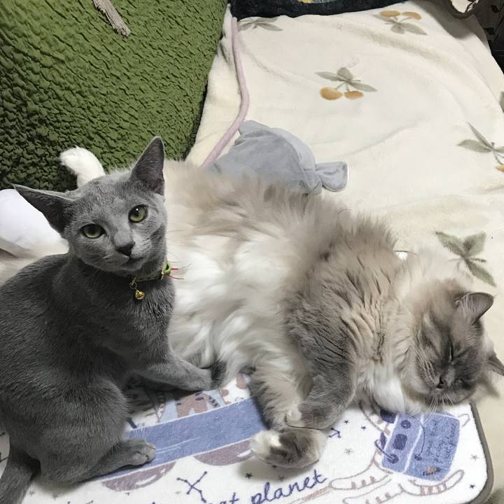 6c4982a7 3a7d 4059 bbd4 cef76f0dc011 1512228072383