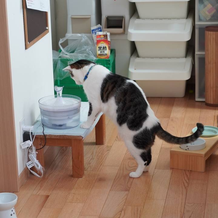 6c49a686 0963 4fbb be4d a8d80cc29d9a 1619442528822