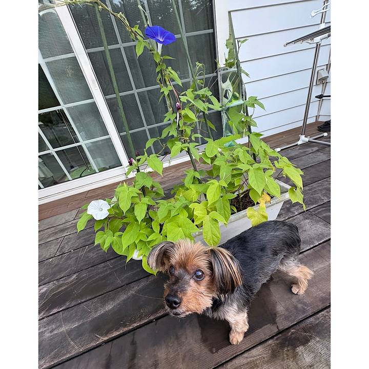 6c49cd11 163d 4081 b5d2 ab3dc62ab021 1752786182170