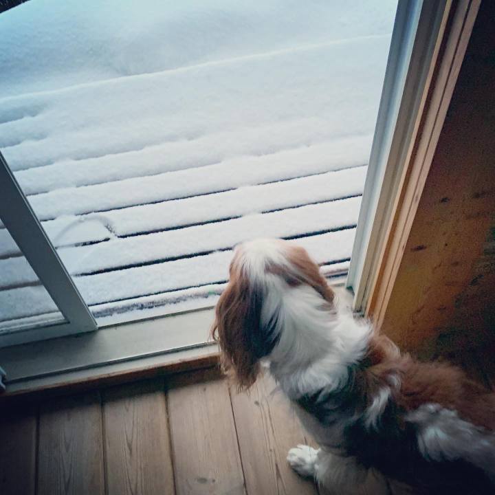 6c49daa1 80c7 46c2 a6a6 de8430426125 1580941182450