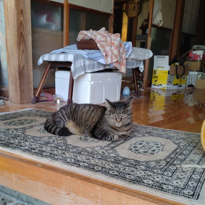 6c49ff10 38a4 4198 90fe 1146ca280ac4 1689218774620