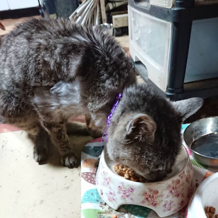 6c4a6989 a153 4b85 8dca 9088ed5ea2c6 1594718095807