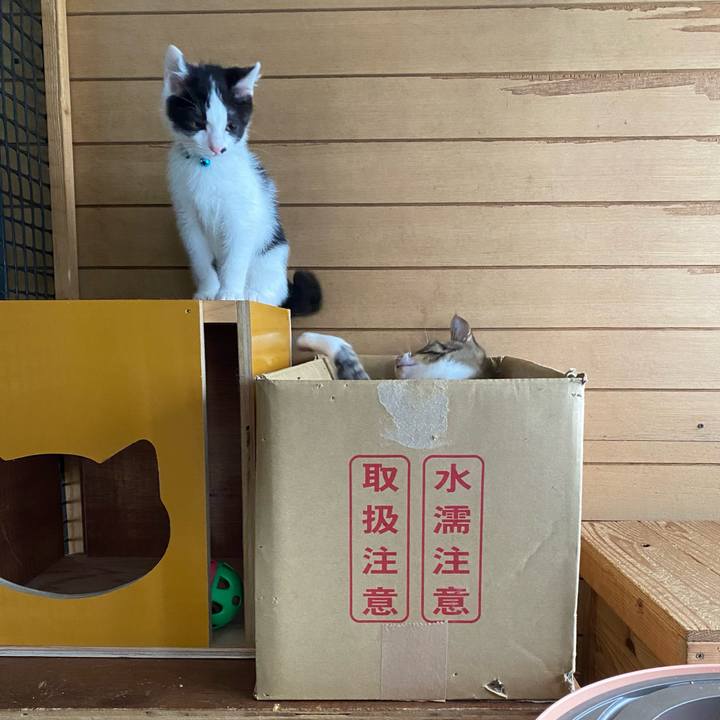 6c4a6e03 36f7 484c 891e 2e1a4f46c7d8 1654909078120