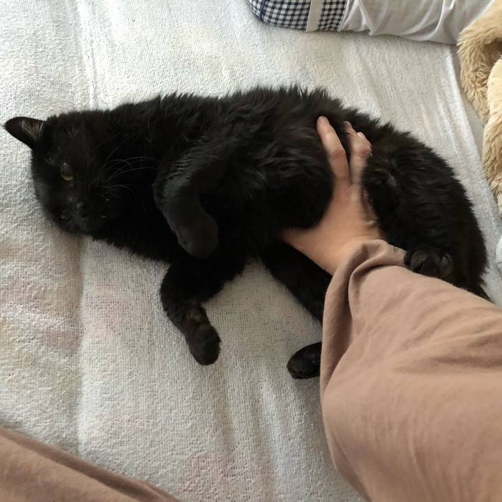 6c4a7f66 f2b2 49c7 8d88 7ee10307a0e7 1607207965375