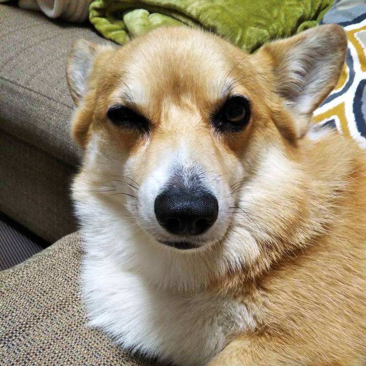 6c4aaf55 bd37 4405 85fa f004b6ebe1b8 1569596087361