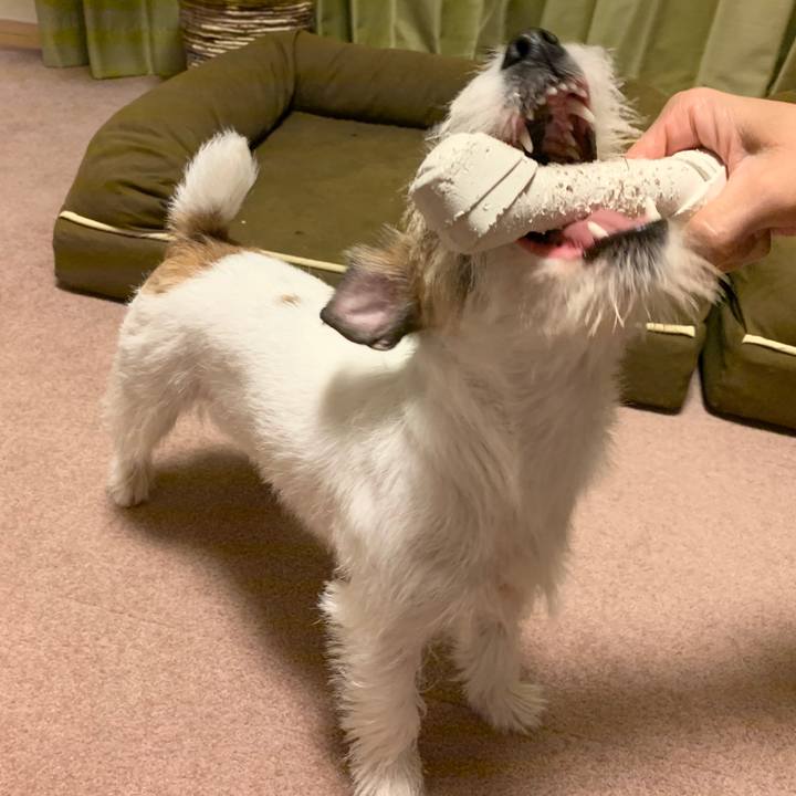 6c4ab0c9 ee01 4b39 a2c5 800420d63cfe 1573044141188