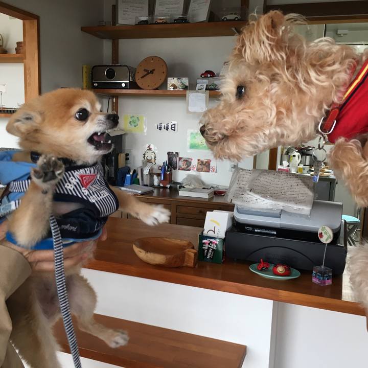 6c4b01d7 2ae1 461c ad99 502a31ad5f17 1541986174585