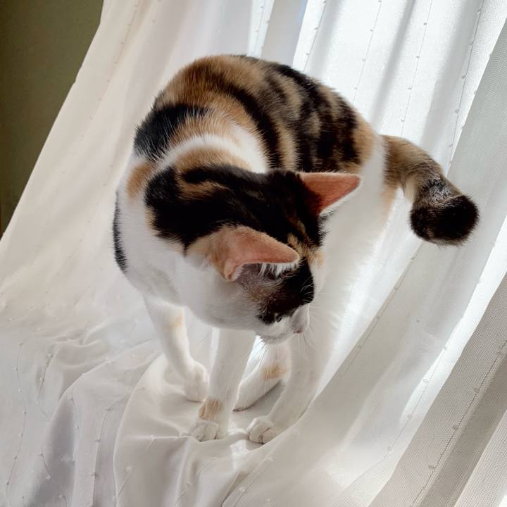 6c4b02cd 6687 4a55 a29c f847da460f56 1538708023480