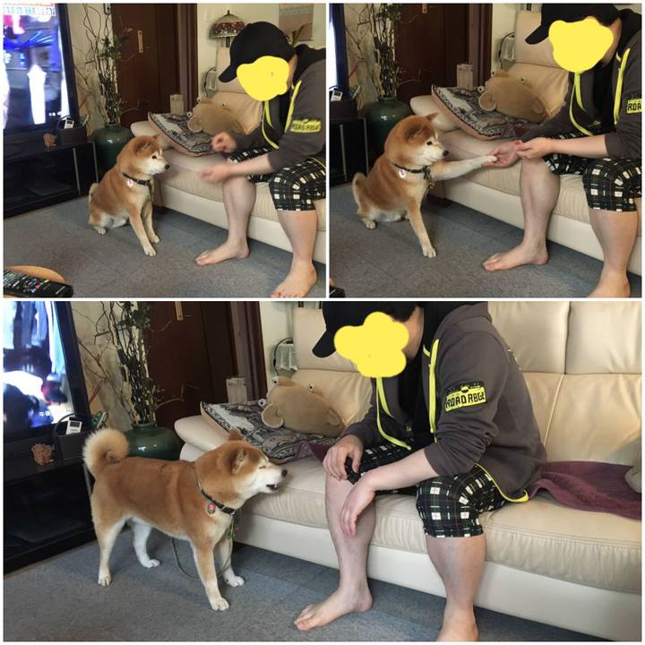 6c4b652f 0d9e 4796 997d 0b3ff5ad4254 1589702839144