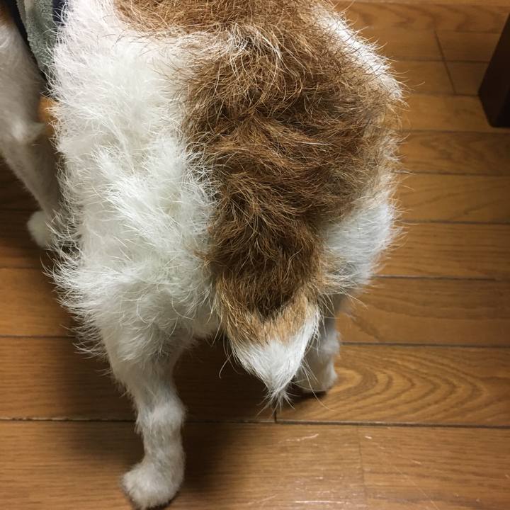 6c4ba2b0 ab0d 4397 80cd 18c5f61f7c4a 1643757483406