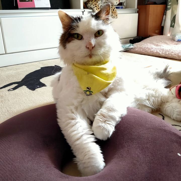 6c4bb130 e49f 45ca b308 0c2c9536eae5 1583855911125