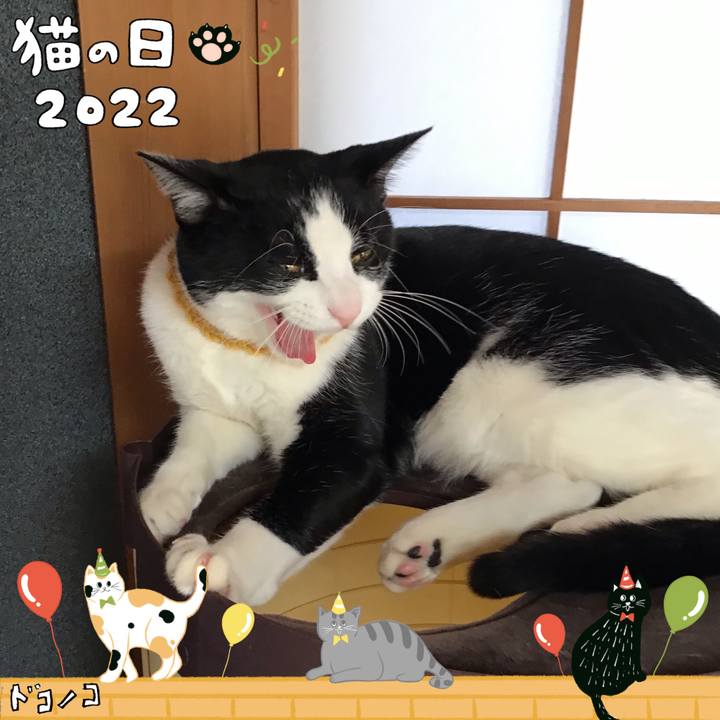 6c4bc93b 1a6c 4d97 8f14 47182c29b9fa 1645489381393