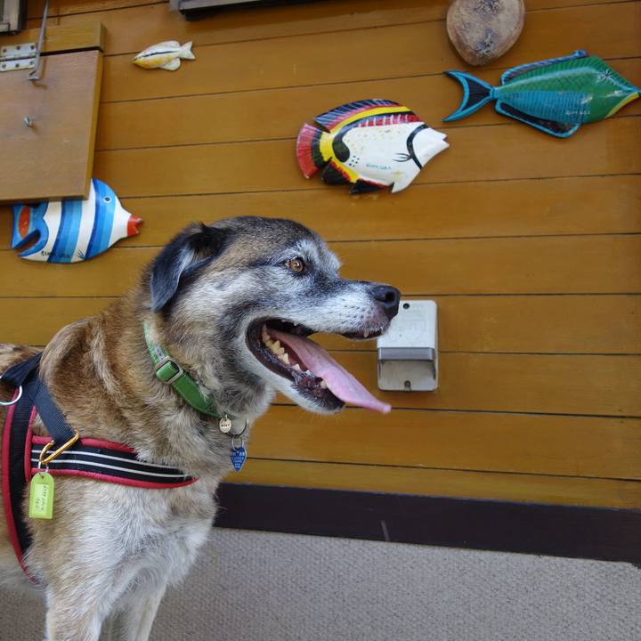 6c4bd13b 4b71 4748 ad27 1f5c1d984fbe 1534208258307