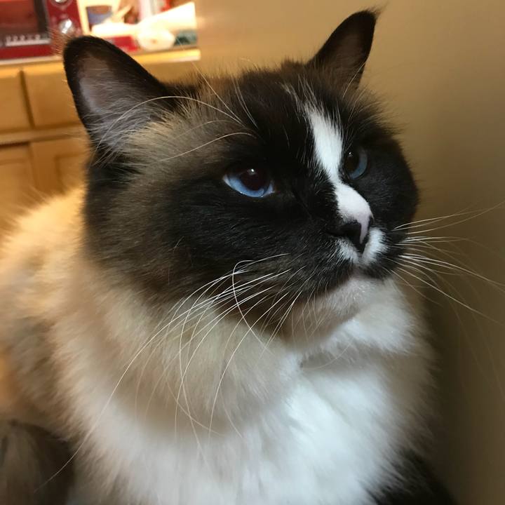 6c4bf515 4ed3 47f7 945f e677e9fdd0b6 1522015263928