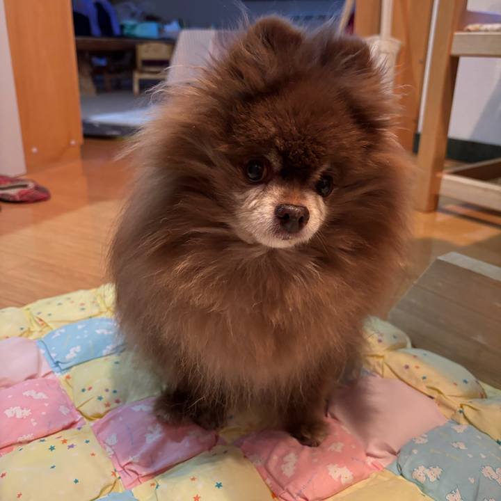 6c4c2a5c c442 4645 95cd a7f36812a488 1739232286209