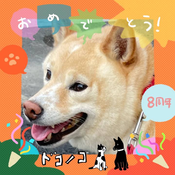 6c4c463e e8ad 4603 ad37 a6b3de16aa29 1717677482888