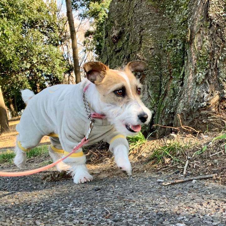 6c4c5d19 53fb 418a b9ba 1c2f321e597b 1613720480949