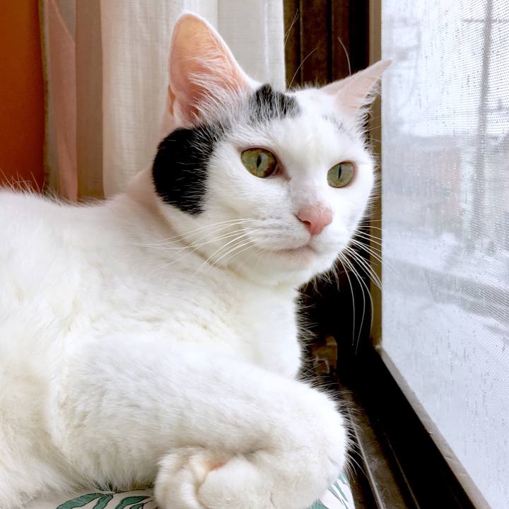 6c4c5d53 0f71 4e63 be4b 0d1a82a6a08f 1565924982345