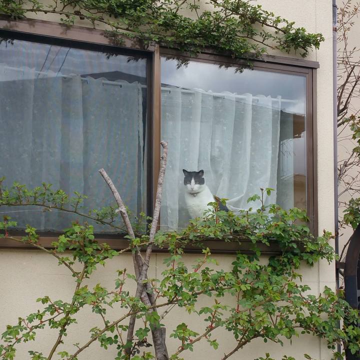 6c4c6243 0476 4d53 8420 8830d2a9ce72 1523848895727