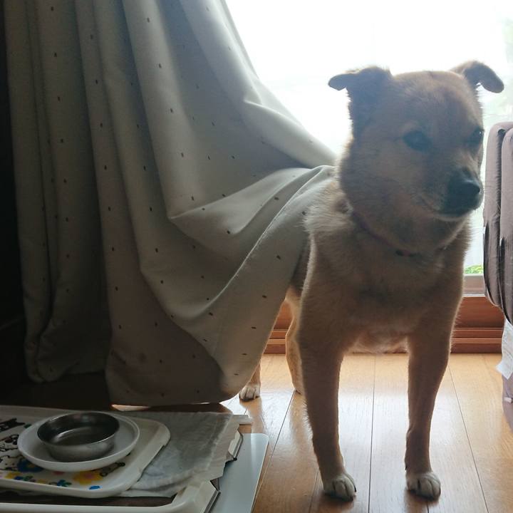 6c4c8372 0cd9 4ce4 846a 8639e6b3ecd9 1624449931285