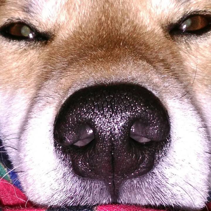 6c4c8564 040b 4e8e ae39 d69f347da93e 1518421752441