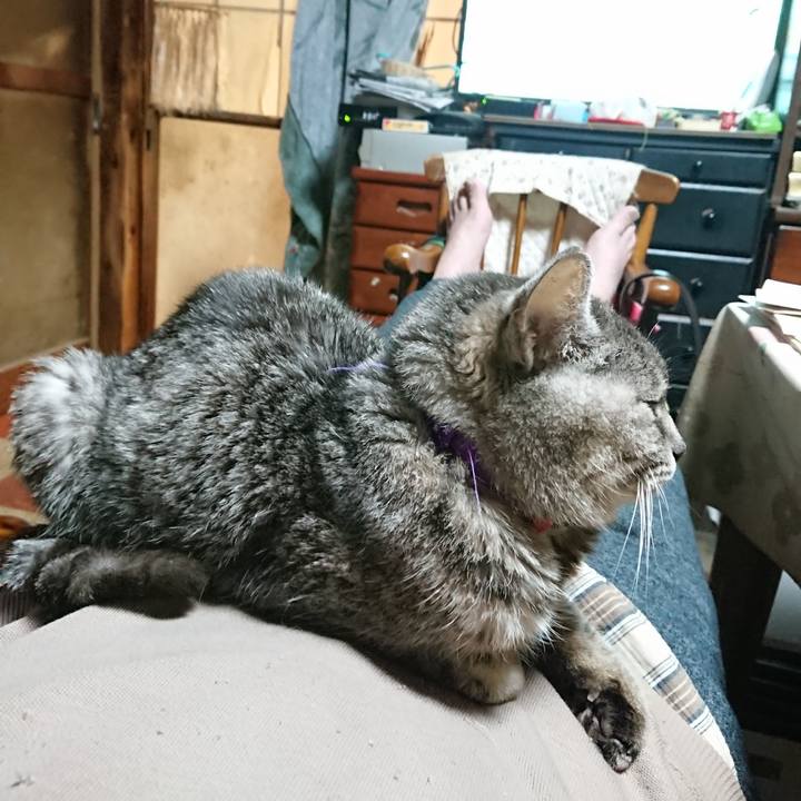 6c4c899c 7a4d 4c36 8ee0 dc165600cfdb 1581333253550